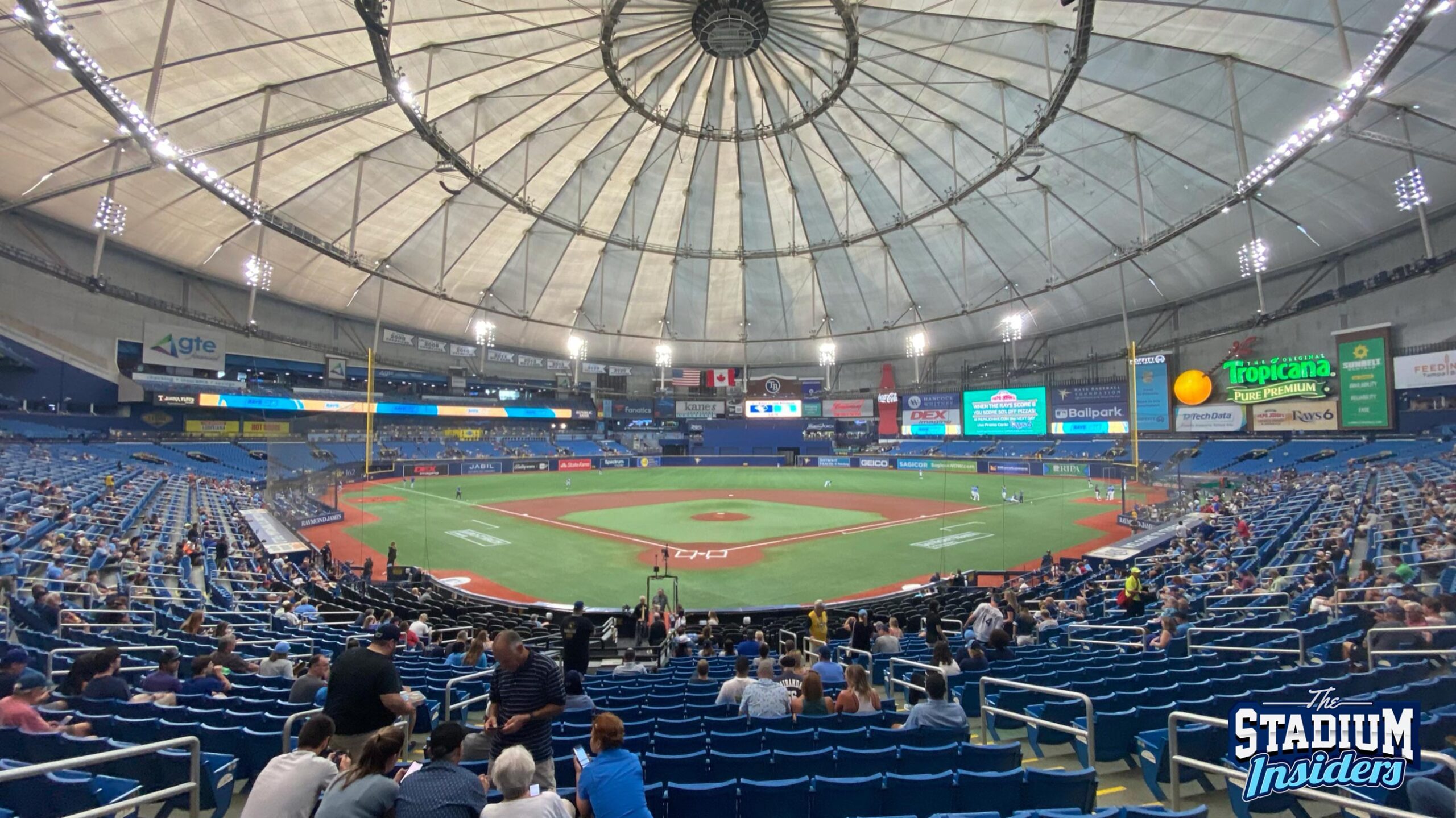 Tropicana Field view from section 102