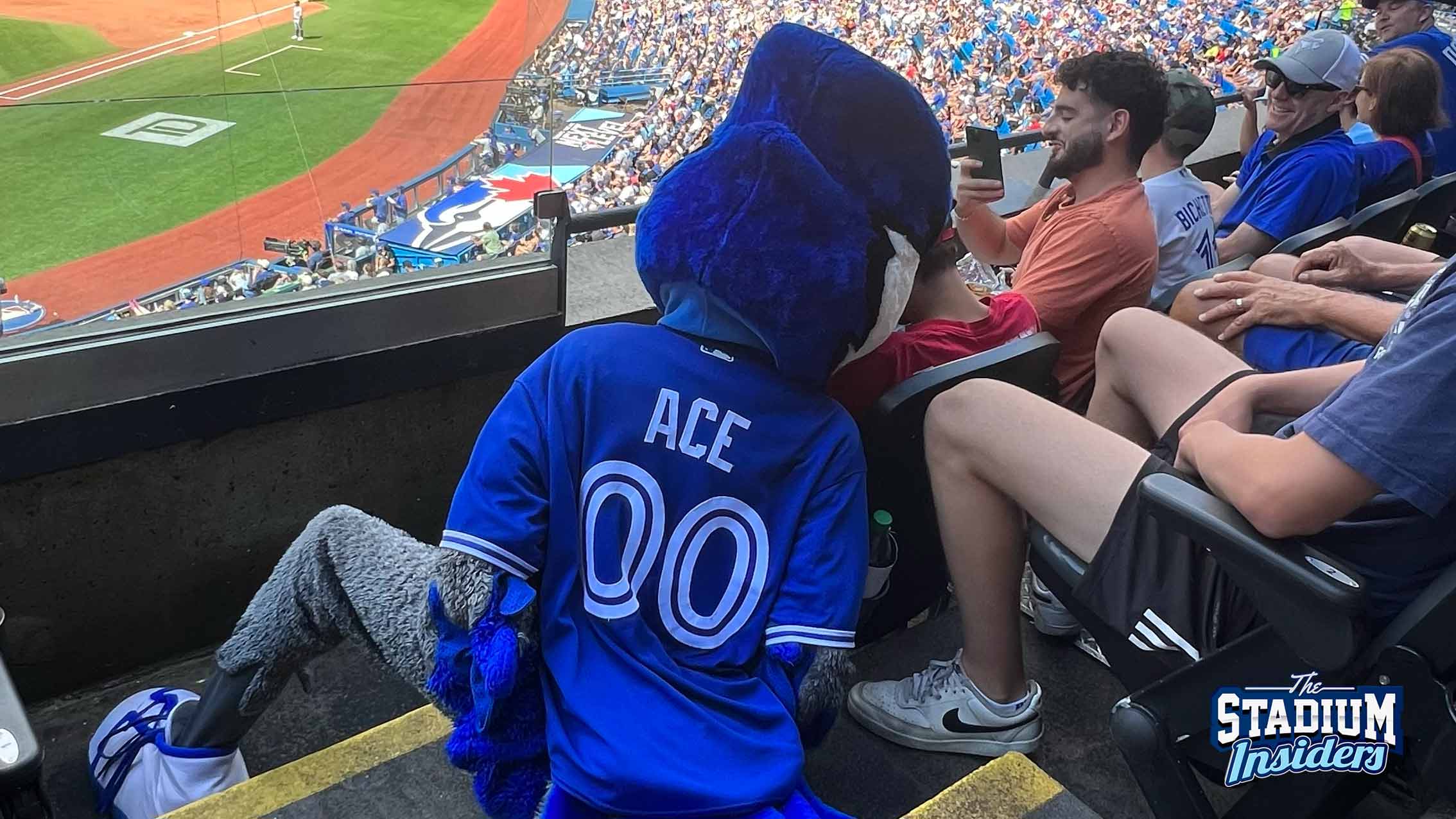 The Toronto Blue Jays mascot Ace sitting in the isles taking photos with fans