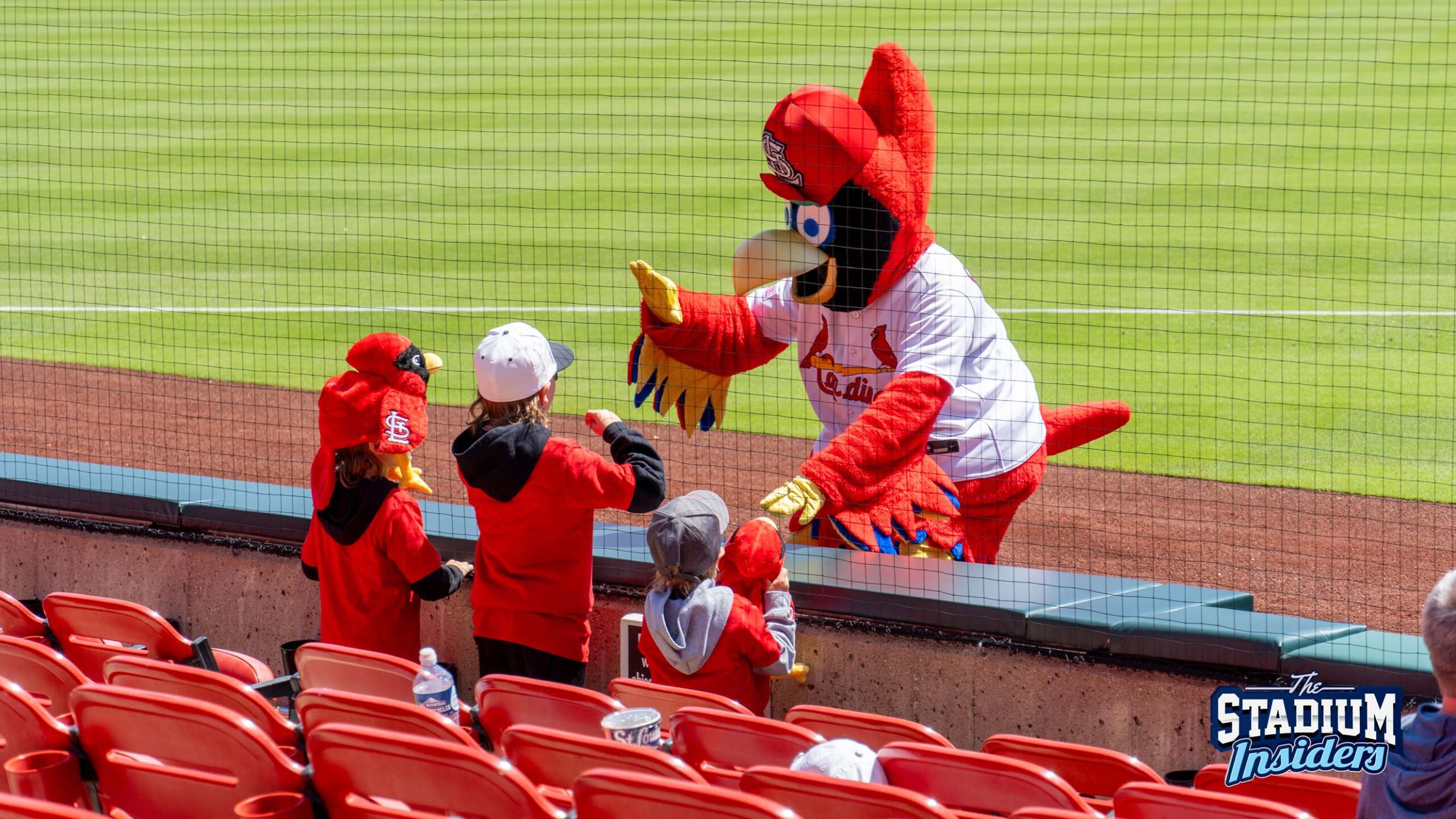 St. Louis Cardinals mascot Fredbird greets children near home plate in Busch Stadium