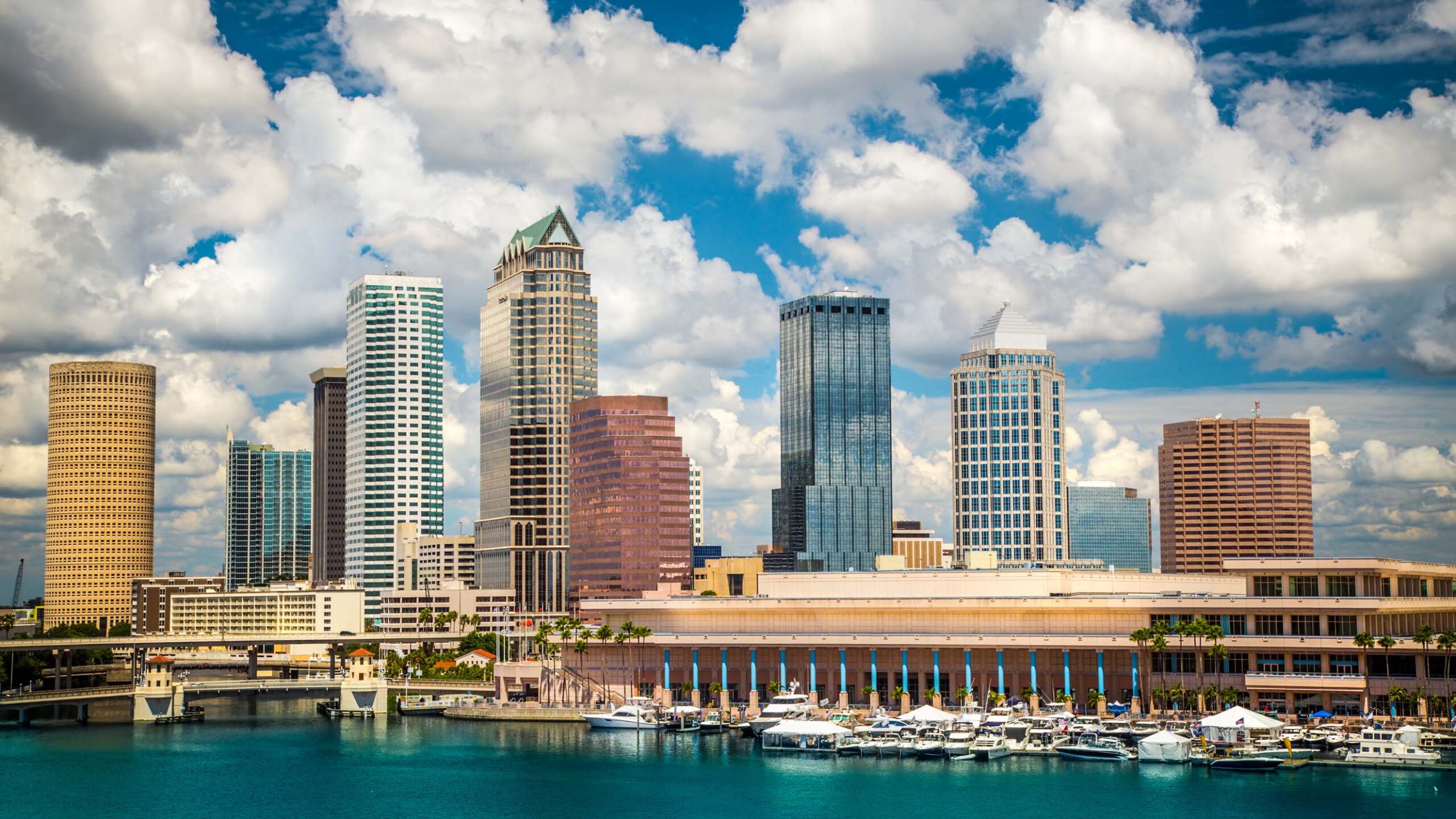 Tampa Skyline