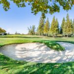 Field Set for 2025 PGA Championship at Quail Hollow