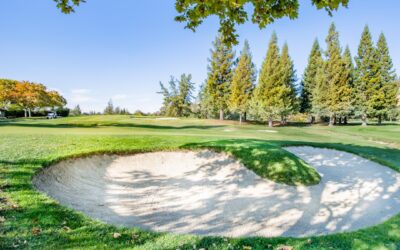 PGA Championship at Quail Hollow Field Now Set